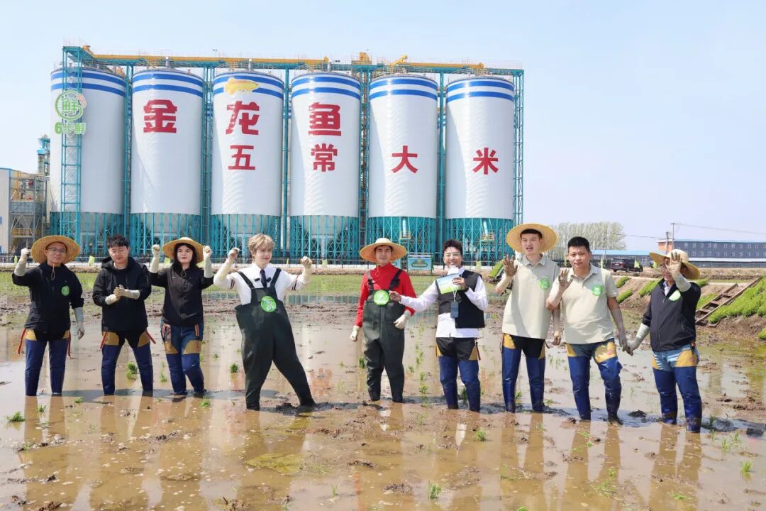 金龙鱼6步鲜与《种地吧4》少年共赴春耕之约,揭秘“双第一”鲜米密码